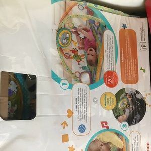 Fisher price play Matt mirror and 5 animals